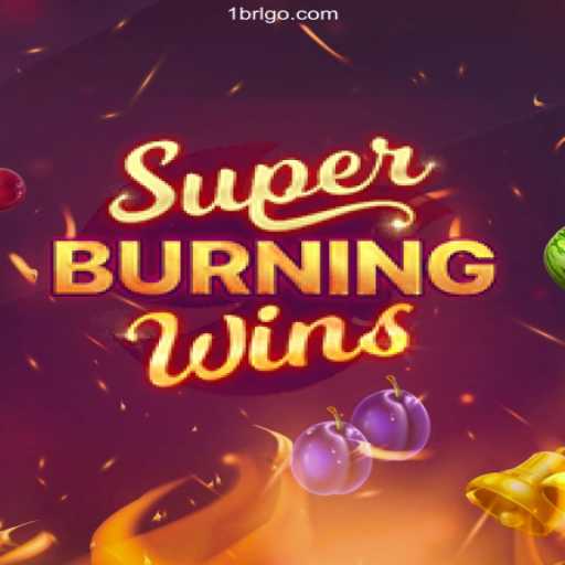 Exploring SuperBurningWins: A Dive into Casino Games